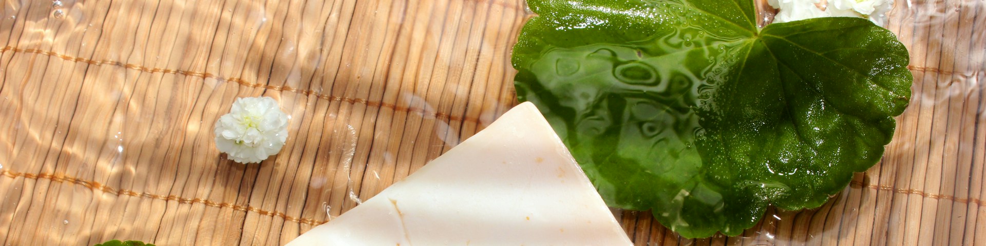 Greena Avocadova